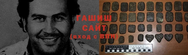 сатива Бородино