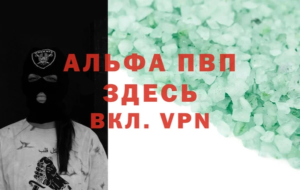 сатива Бородино