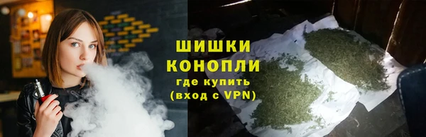 сатива Бородино