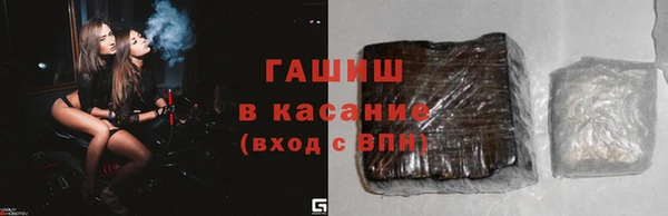 сатива Бородино