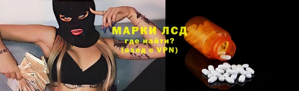 сатива Бородино