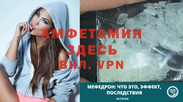 сатива Бородино