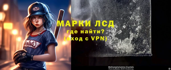 сатива Бородино
