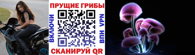 Купить  Островной  Псилоцибиновые грибы прущие грибы 